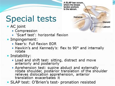 shoulder capsule tear test|shoulder exam questions and answers.